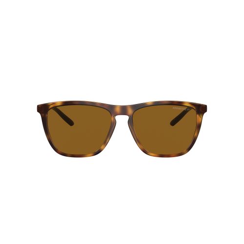 0AN4301  Cat Eye Sunglass - size 55