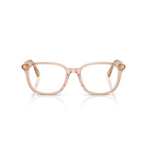 BE2434D 4175 Pillow Eyeglass  - size 53