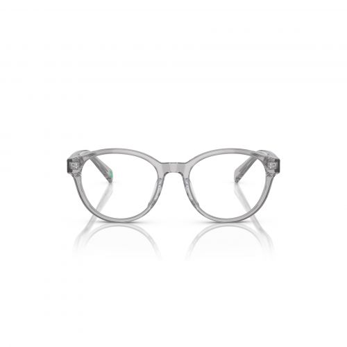 PP8546U 5413 Pillow Eyeglass  - size 49