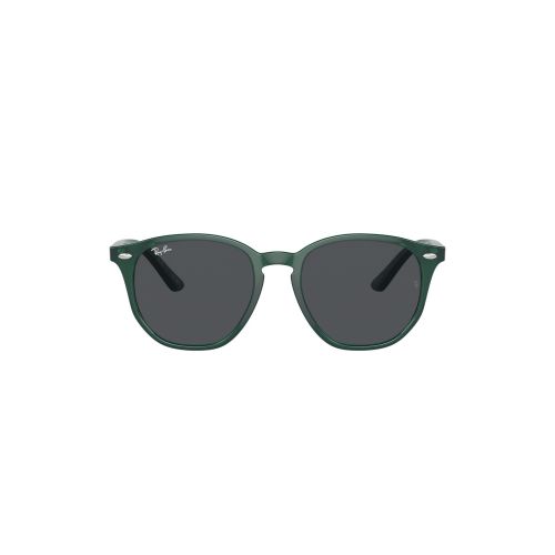 RJ 97S 71387 Panthos Sunglass -size 46