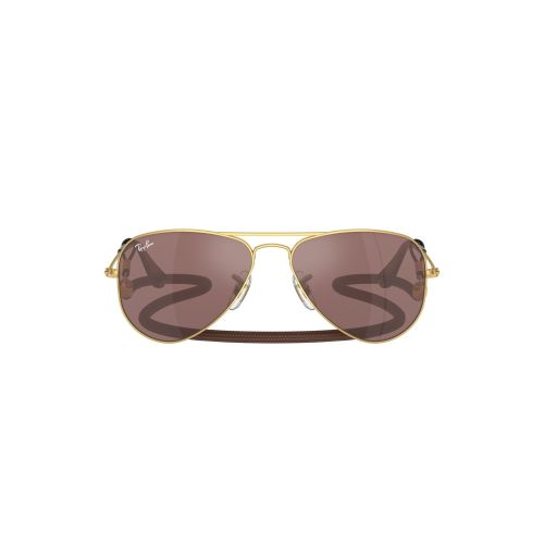 RJ 956S 223 6G Pilot Sunglass -size 52