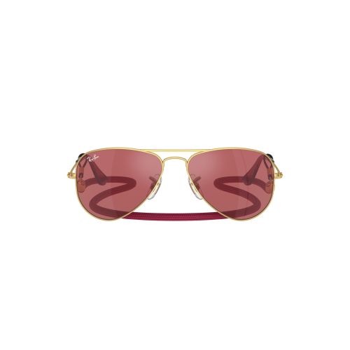 RJ 956S  Sunglasses 223 B5 - size 52