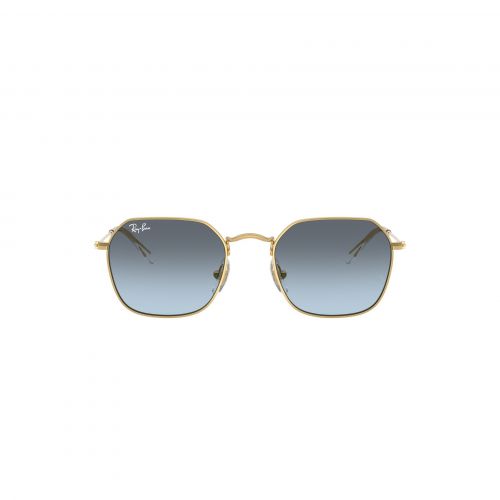 RJ 9594S 223 V1  Irregular Sunglass - size 49