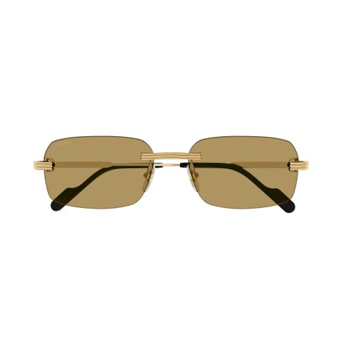 CT0271S 009 Rectangle Sunglass  - size 58
