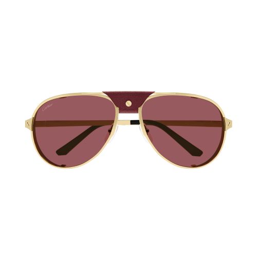 CT0296S 006 Pilot Sunglass  - size 61