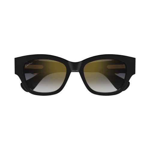 CT0548SA 001 Butterfly Sunglass  - size 55