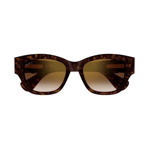 CT0548SA 002 Butterfly Sunglass  - size 55