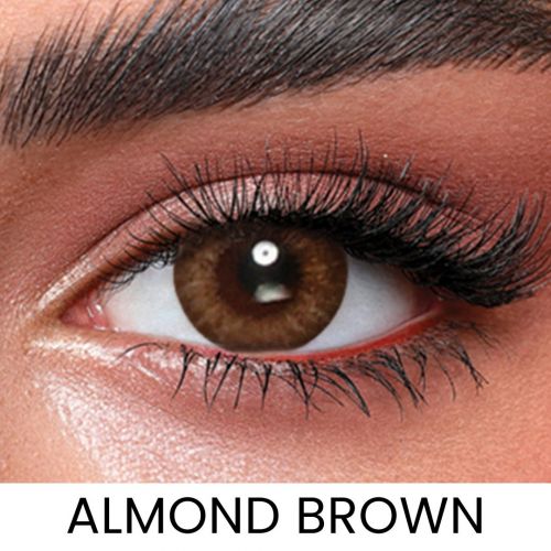 1 Day Colored Contact Lens - Daily