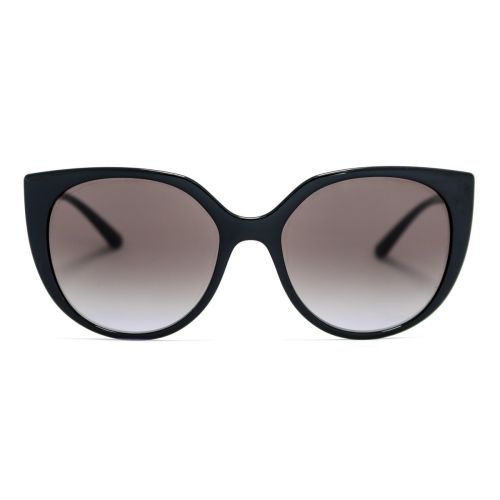 DG 6119  518G Butterfly Sunglass -size 54