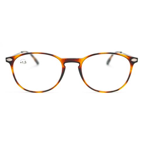 Nooz ready reader Alba Tortoise