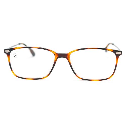 Nooz ready reader Bao Tortoise