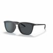 0AN4301 Cat Eye Sunglass - 55