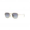 RJ 9557S 223 4L Panthos Sunglass -size 46