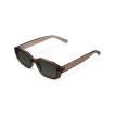 Kessie Sepia Olive Sunglass - Size 54