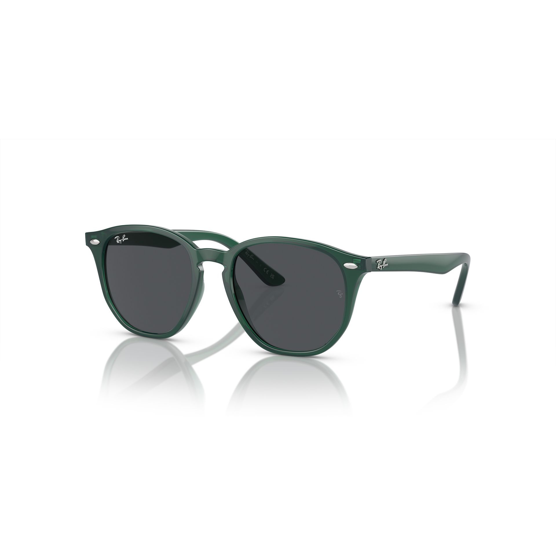 RJ 97S 71387 Panthos Sunglass -size 46