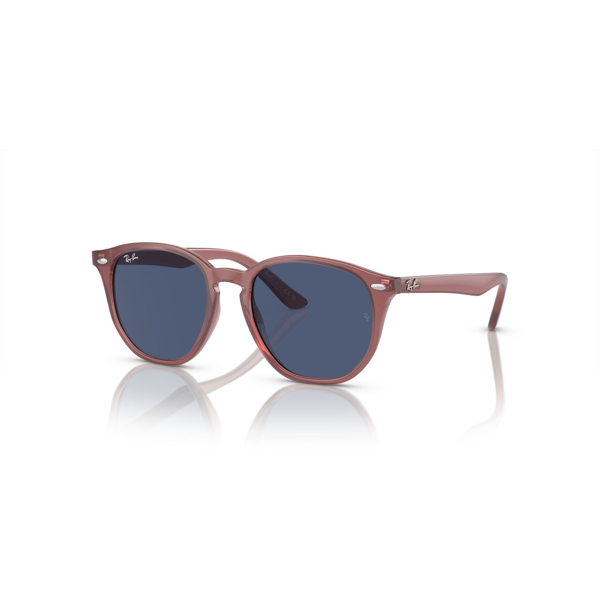 RJ 97S 71568 Panthos Sunglass -size 46