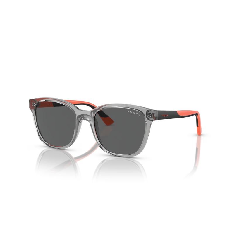 0VJ2019 Pillow Sunglass - 48