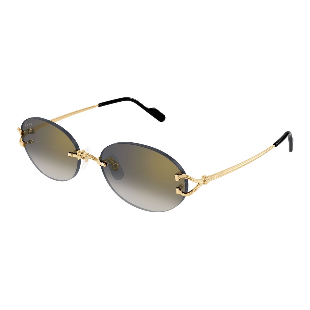 CT0551S 001 Oval Sunglass  - size 55