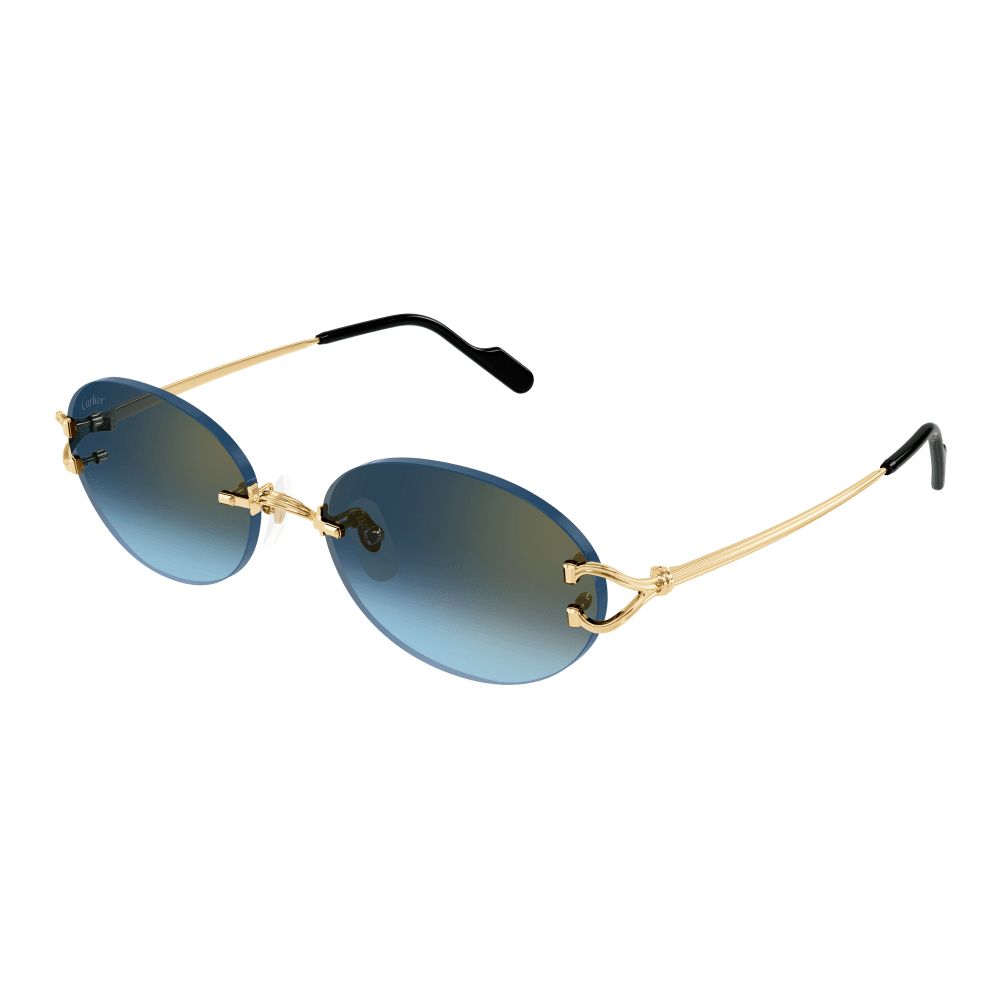 CT0551S 002 Oval Sunglass  - size 55