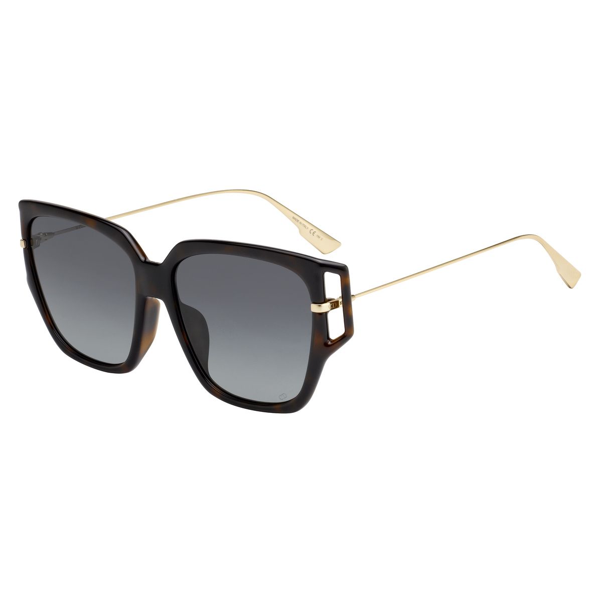 christian_dior_diordirection3f_086_1i_58.JPG