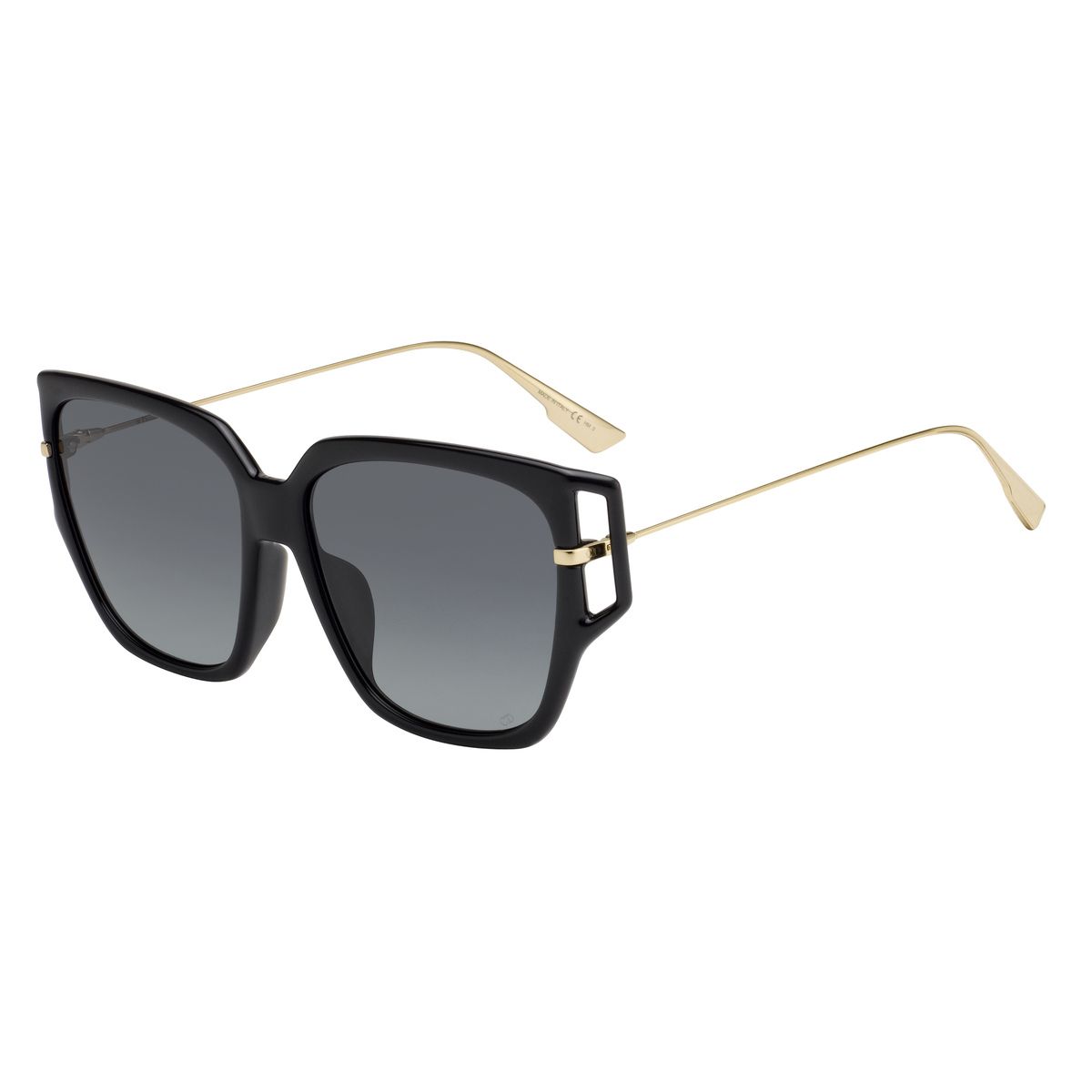 christian_dior_diordirection3f_807_1i_58.JPG